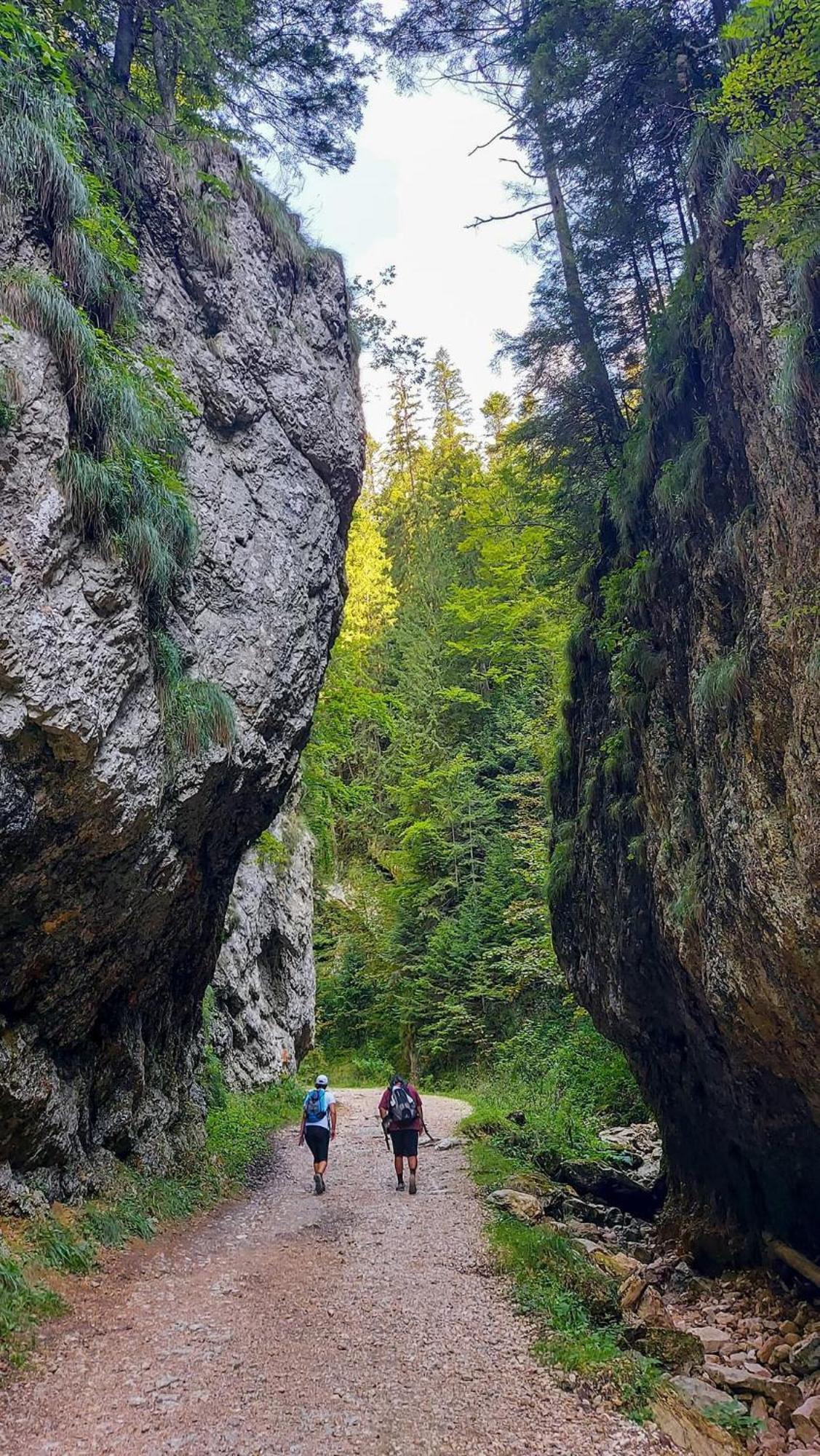 Cazare Zorilor Zărneşti Cameră foto