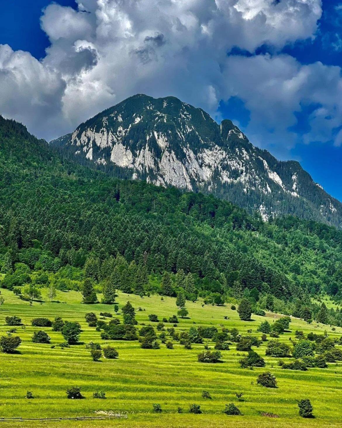 Cazare Zorilor Zărneşti Cameră foto