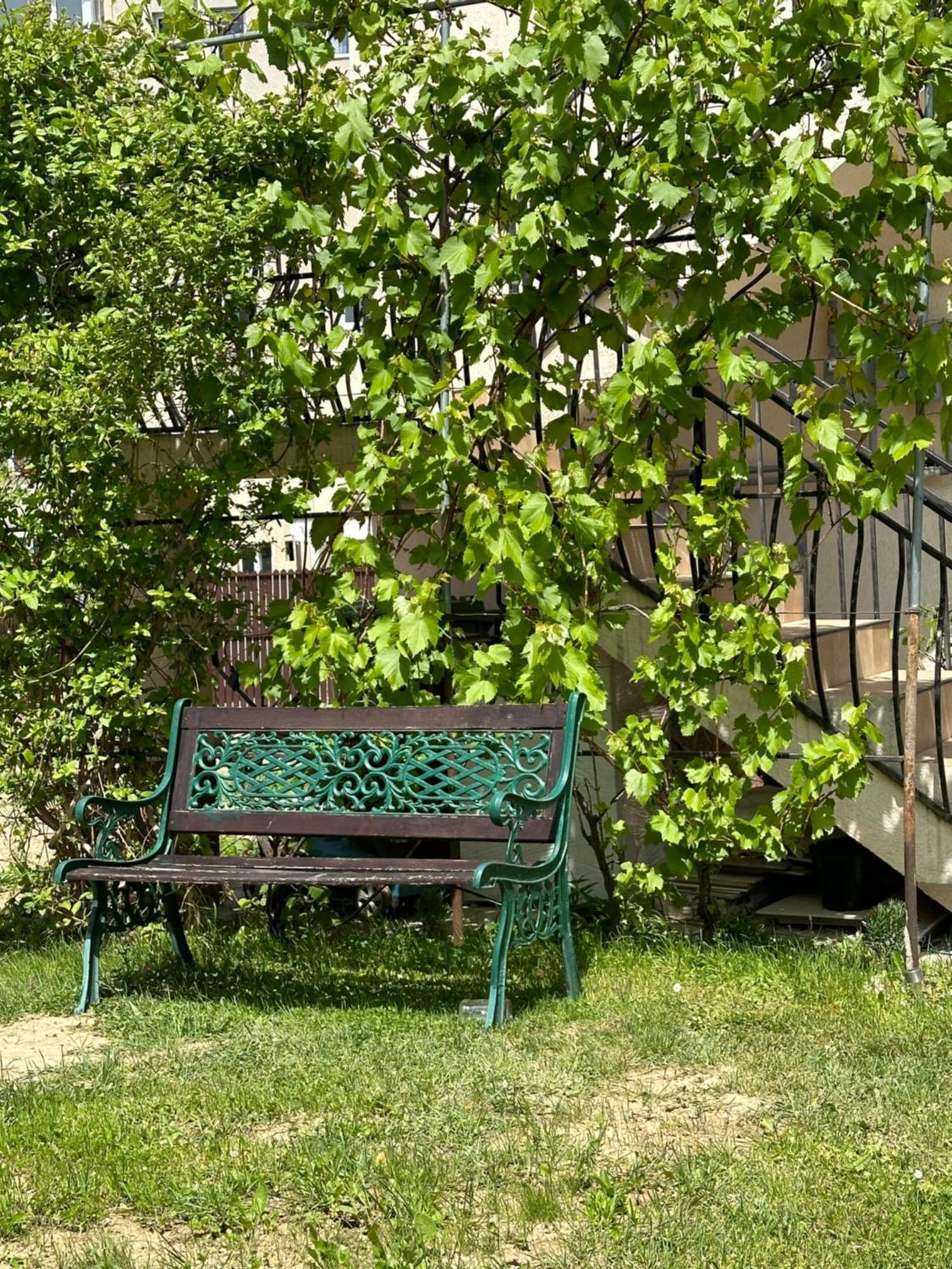 Cazare Zorilor Zărneşti Cameră foto